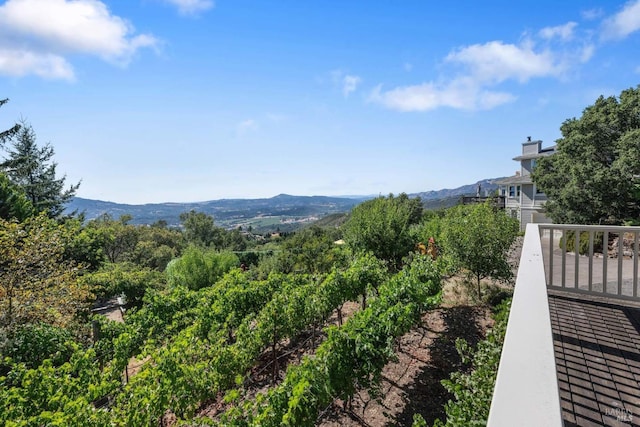 2557 Trinity Rd, Glen Ellen, CA 95442 - view of mountain backdrop