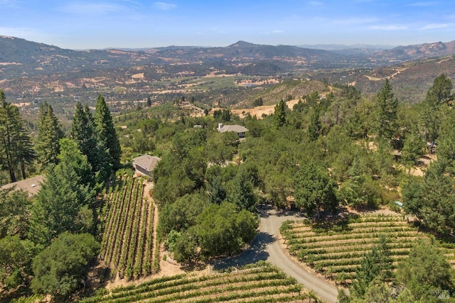 2557 Trinity Rd, Glen Ellen, CA 95442 - aerial view of property and surrounding area with mountains, rows of crops, and rural landscape