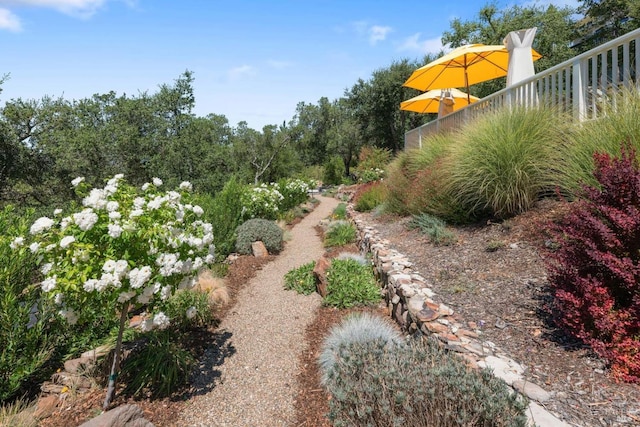 2557 Trinity Rd, Glen Ellen, CA 95442 - view of yard