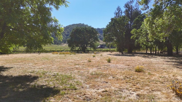 1169 Darms Ln, Napa, CA 94558