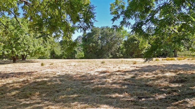 1169 Darms Ln, Napa, CA 94558