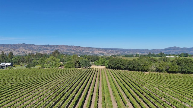 1169 Darms Ln, Napa, CA 94558