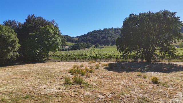 1169 Darms Ln, Napa, CA 94558