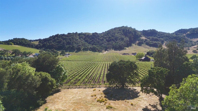 1169 Darms Ln, Napa, CA 94558