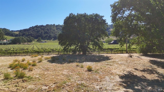1169 Darms Ln, Napa, CA 94558