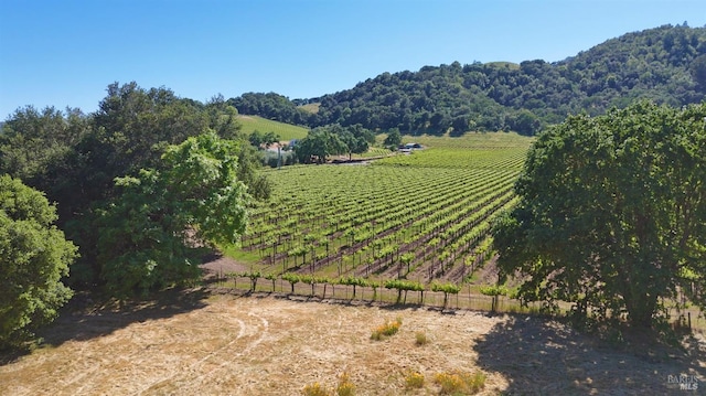 1169 Darms Ln, Napa, CA 94558