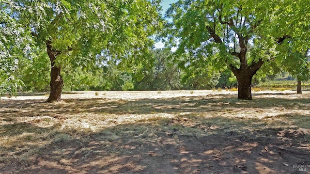 1169 Darms Ln, Napa, CA 94558