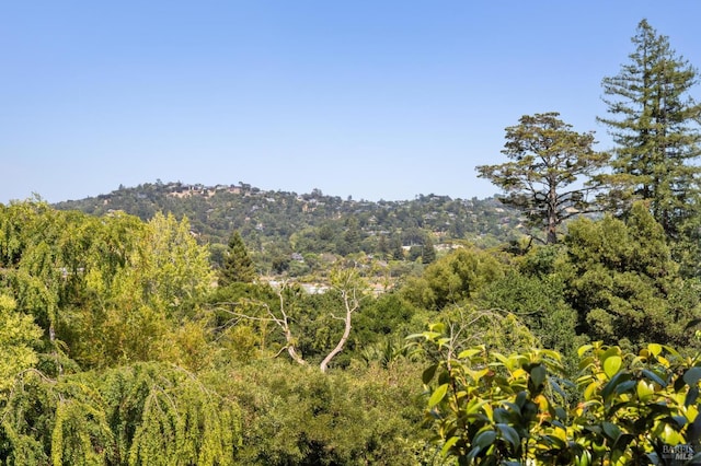 37 Rancheria Rd, Kentfield, CA 94904 - view of wooded area