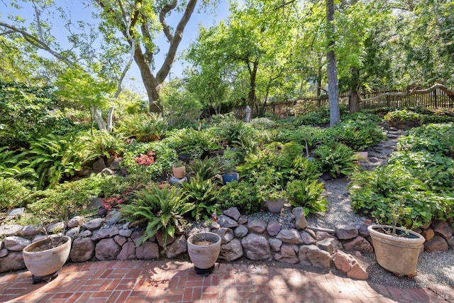 37 Rancheria Rd, Kentfield, CA 94904 - view of yard