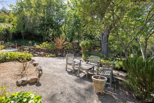 37 Rancheria Rd, Kentfield, CA 94904 - view of yard featuring a patio