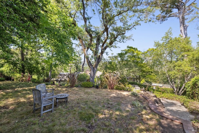 37 Rancheria Rd, Kentfield, CA 94904 - view of yard
