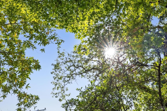 37 Rancheria Rd, Kentfield, CA 94904 - view of nature