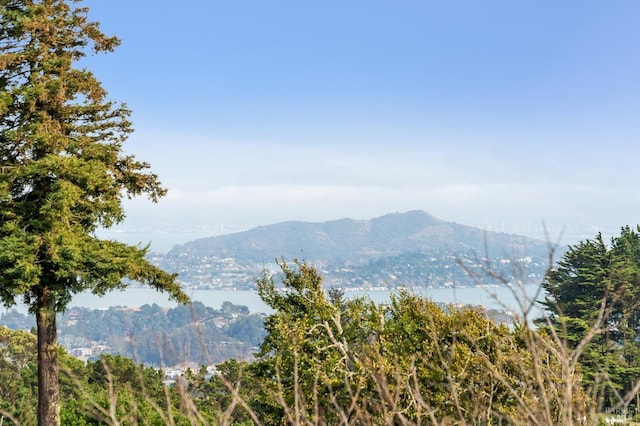 65 Ridge Ave, Mill Valley, CA 94941