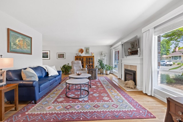 6518 Meadowgreen Pl, Santa Rosa, CA 95409 - living area featuring light wood finished floors and a glass covered fireplace