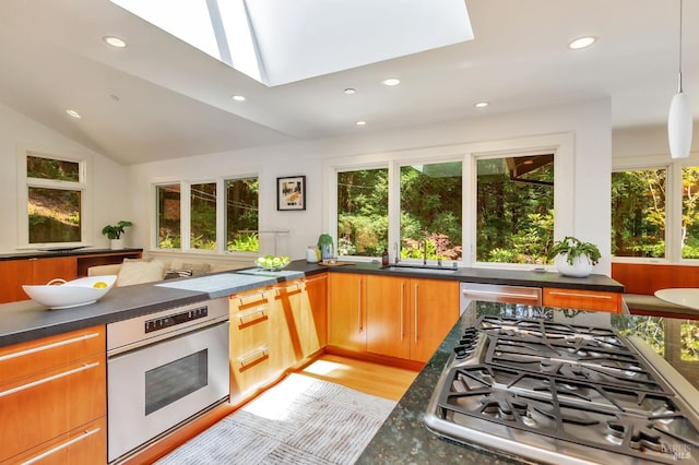 3 Wainwright Pl, Mill Valley, CA 94941 - kitchen with appliances with stainless steel finishes, a skylight, a sink, recessed lighting, and dark countertops