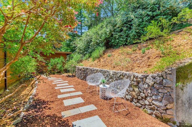 3 Wainwright Pl, Mill Valley, CA 94941 - view of yard