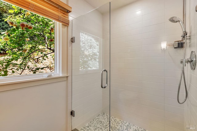 3 Wainwright Pl, Mill Valley, CA 94941 - bathroom featuring a stall shower