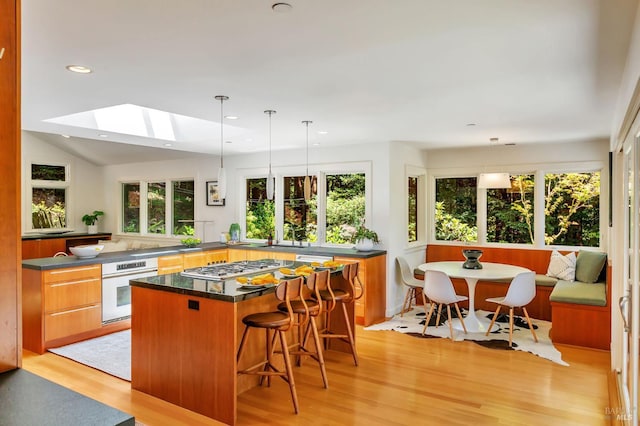 3 Wainwright Pl, Mill Valley, CA 94941 - kitchen featuring oven, a skylight, light wood-style floors, a center island, and dark countertops