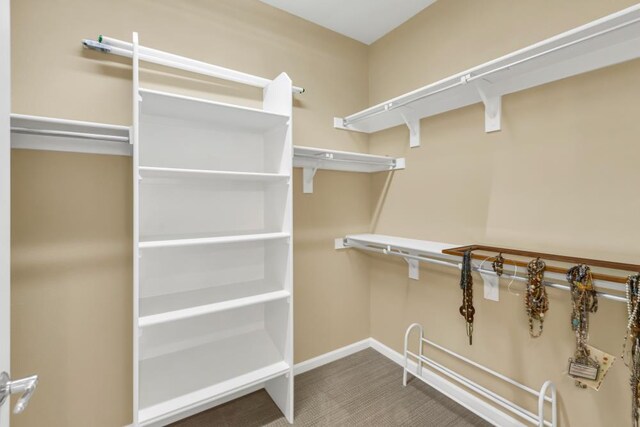 7437 Bloomsbury Way, Elk Grove, CA 95757 - spacious closet with carpet flooring