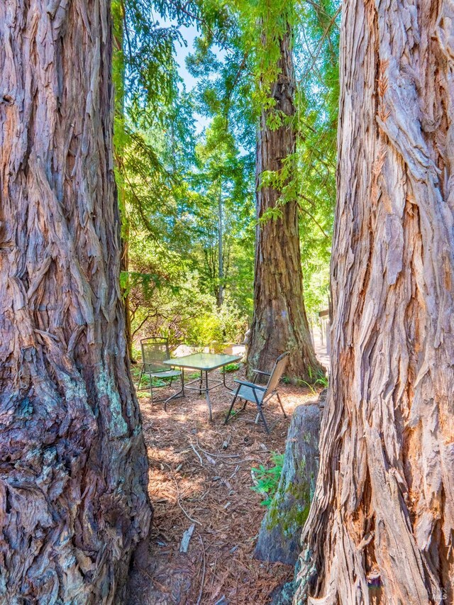 7701 Signal Ridge Rd, Philo, CA 95466 - mountain view with a heavily wooded area