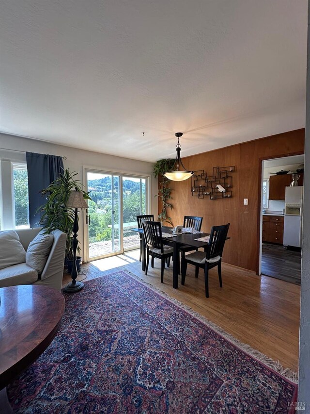 17 Sonora Way, Corte Madera, CA 94925 - dining room with plenty of natural light, wood finished floors, and wooden walls