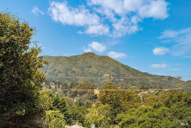995 Greenhill Rd, Mill Valley, CA 94941 - view of mountain background with a heavily wooded area
