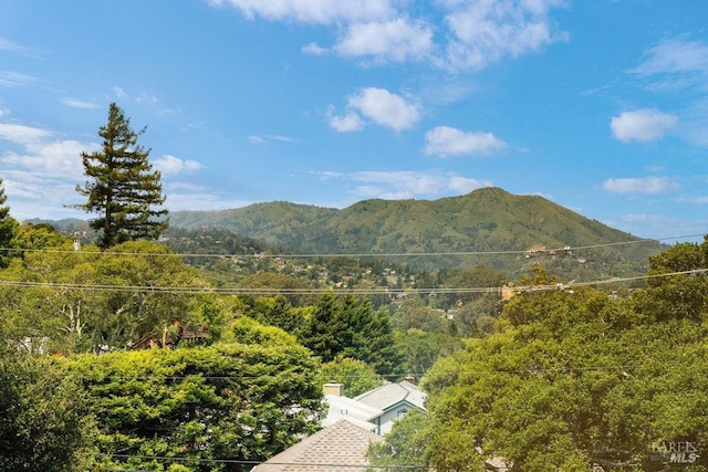 995 Greenhill Rd, Mill Valley, CA 94941 - mountain view with a forest