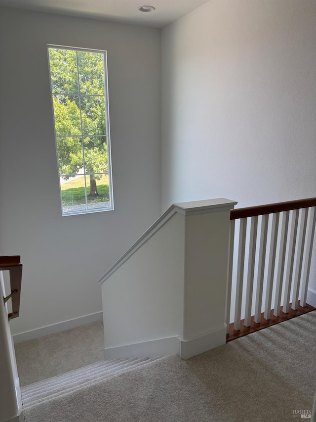 5 Sequoia Rd, San Rafael, CA 94903 - staircase with carpet floors and healthy amount of natural light
