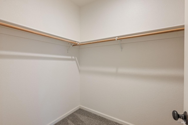 1238 Darling St, Napa, CA 94558 - spacious closet with carpet