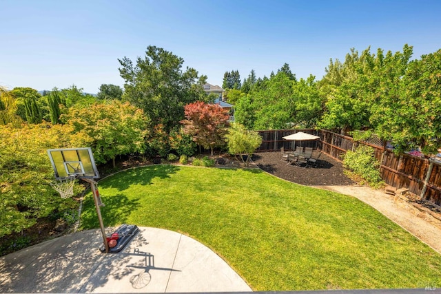1238 Darling St, Napa, CA 94558 - fenced backyard with a patio area