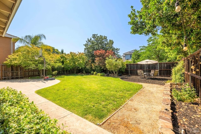 1238 Darling St, Napa, CA 94558 - fenced backyard featuring a patio