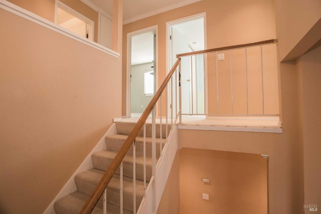 1205 Rosebriar Way, San Jose, CA 95131 - staircase featuring crown molding