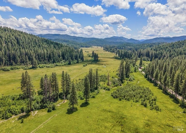 9 Spring Meadows Rd, Mccloud, CA 96507 - bird's eye view of a forest and a mountain backdrop