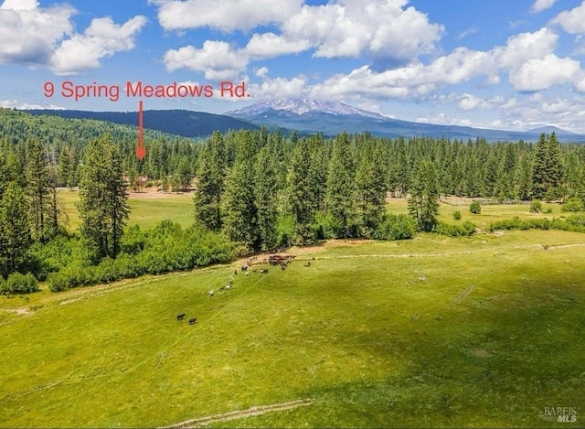 9 Spring Meadows Rd, Mccloud, CA 96507 - view of mountain background with a forest