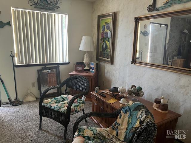 13238 Ebbtide Vlg, Clearlake Oaks, CA 95423 - living area with carpet floors