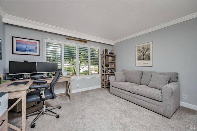 848 Acorn Way, Napa, CA 94558 - home office with ornamental molding, carpet floors, and baseboards