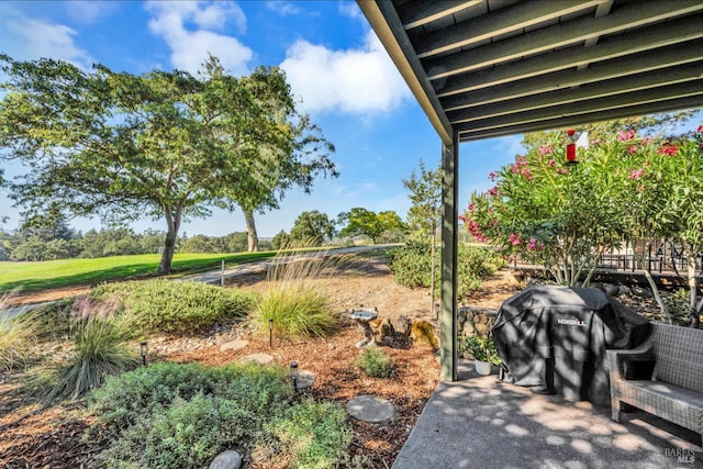 848 Acorn Way, Napa, CA 94558 - view of yard
