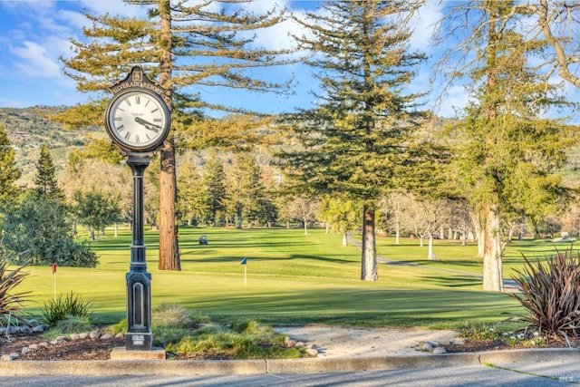 848 Acorn Way, Napa, CA 94558 - view of community with a lawn