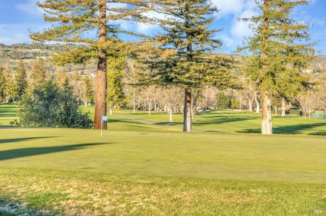 848 Acorn Way, Napa, CA 94558 - view of property's community with a lawn and a putting green
