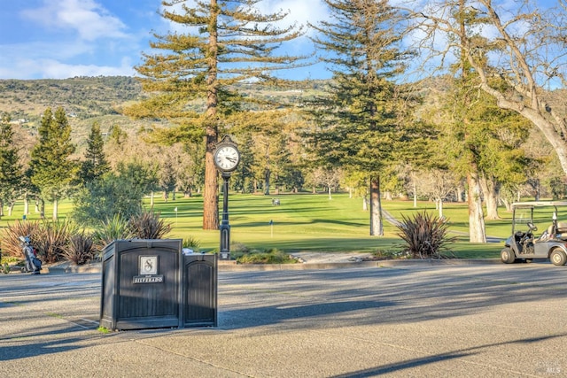 848 Acorn Way, Napa, CA 94558 - view of community with a yard