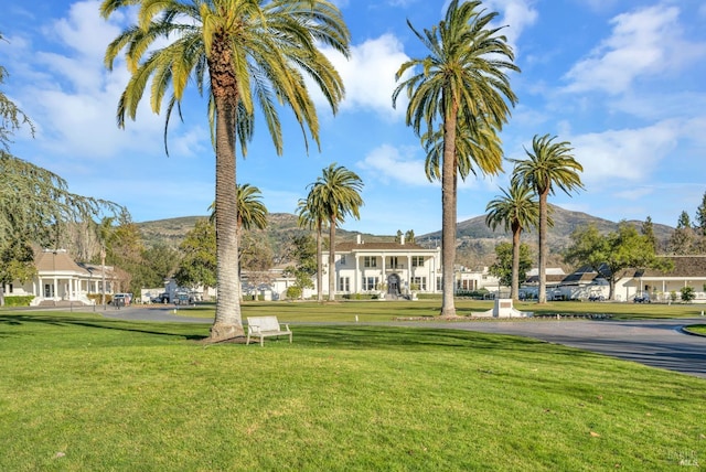 848 Acorn Way, Napa, CA 94558 - surrounding community with a mountain view, a yard, and a residential view
