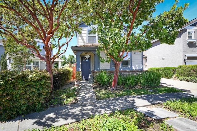 1617 Pear Tree Ln, Napa, CA 94558 - view of property hidden behind natural elements