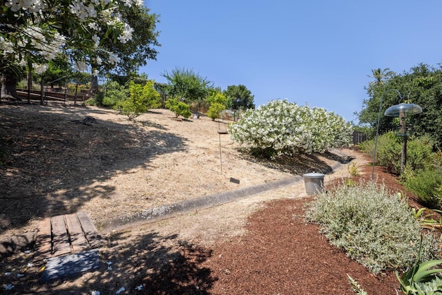 594 Tanbark Ter, San Rafael, CA 94903 - view of yard featuring a rural view