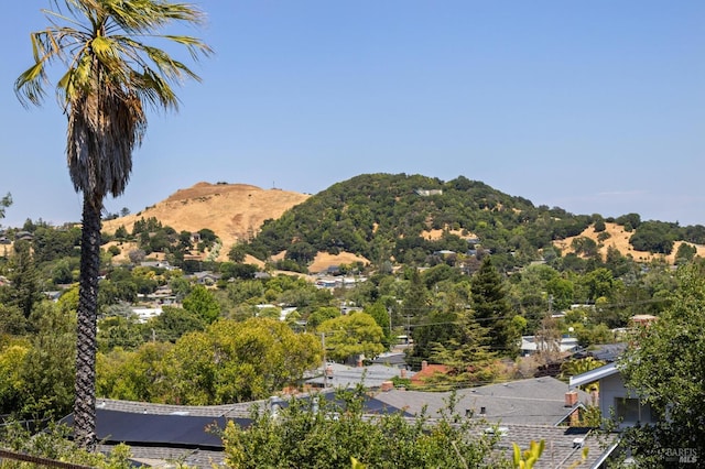 594 Tanbark Ter, San Rafael, CA 94903 - view of mountain background