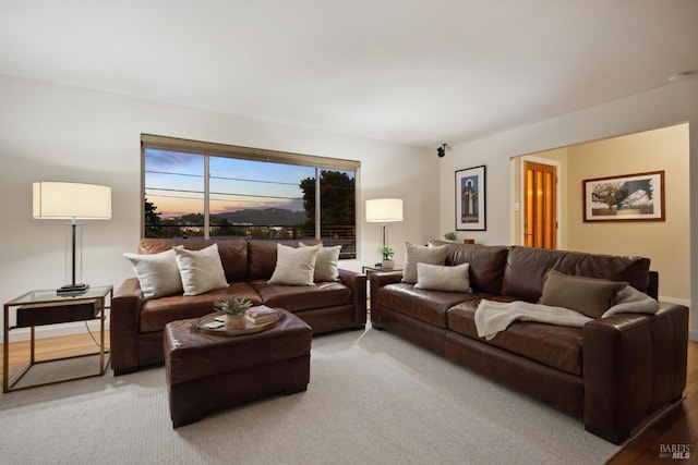 594 Tanbark Ter, San Rafael, CA 94903 - living area with light carpet