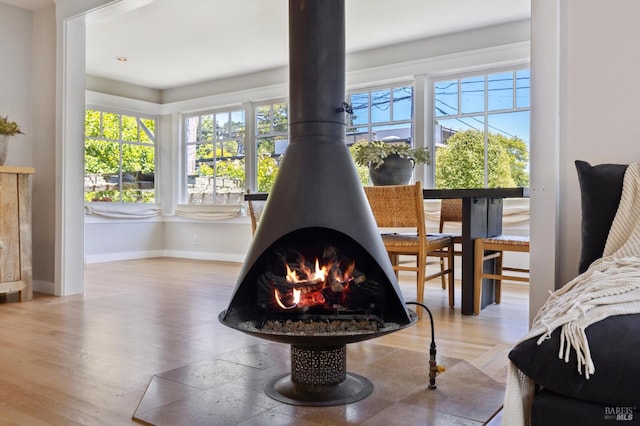 304 Laurel Way, Mill Valley, CA 94941 - detailed view of a wood stove and wood finished floors