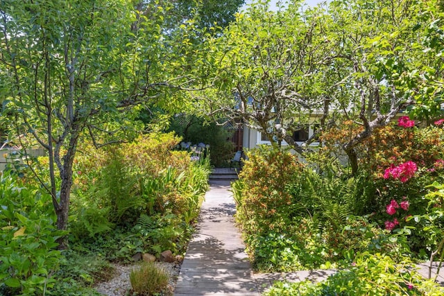 304 Laurel Way, Mill Valley, CA 94941 - surrounding community