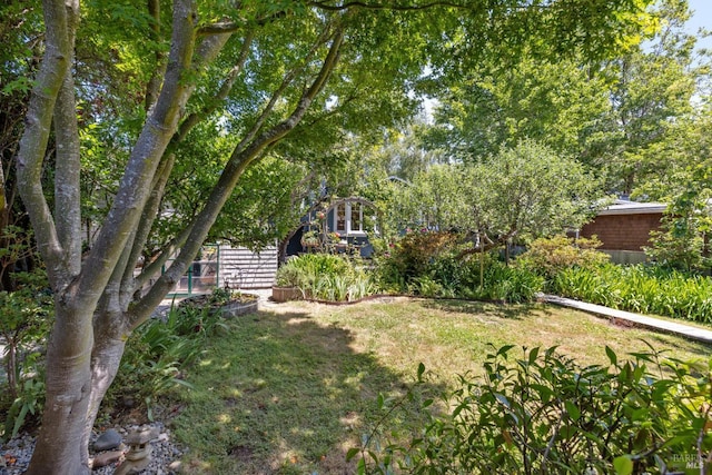 304 Laurel Way, Mill Valley, CA 94941 - view of green lawn