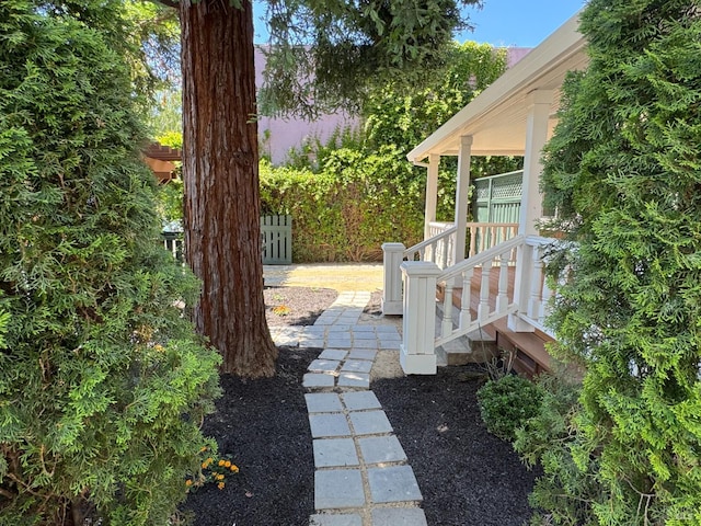 1529 San Anselmo Ave Unit A B, San Anselmo, CA 94960 - view of yard