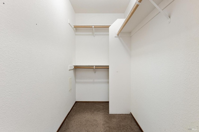 404 Mellowood Ct, Suisun City, CA 94585 - walk in closet featuring carpet floors